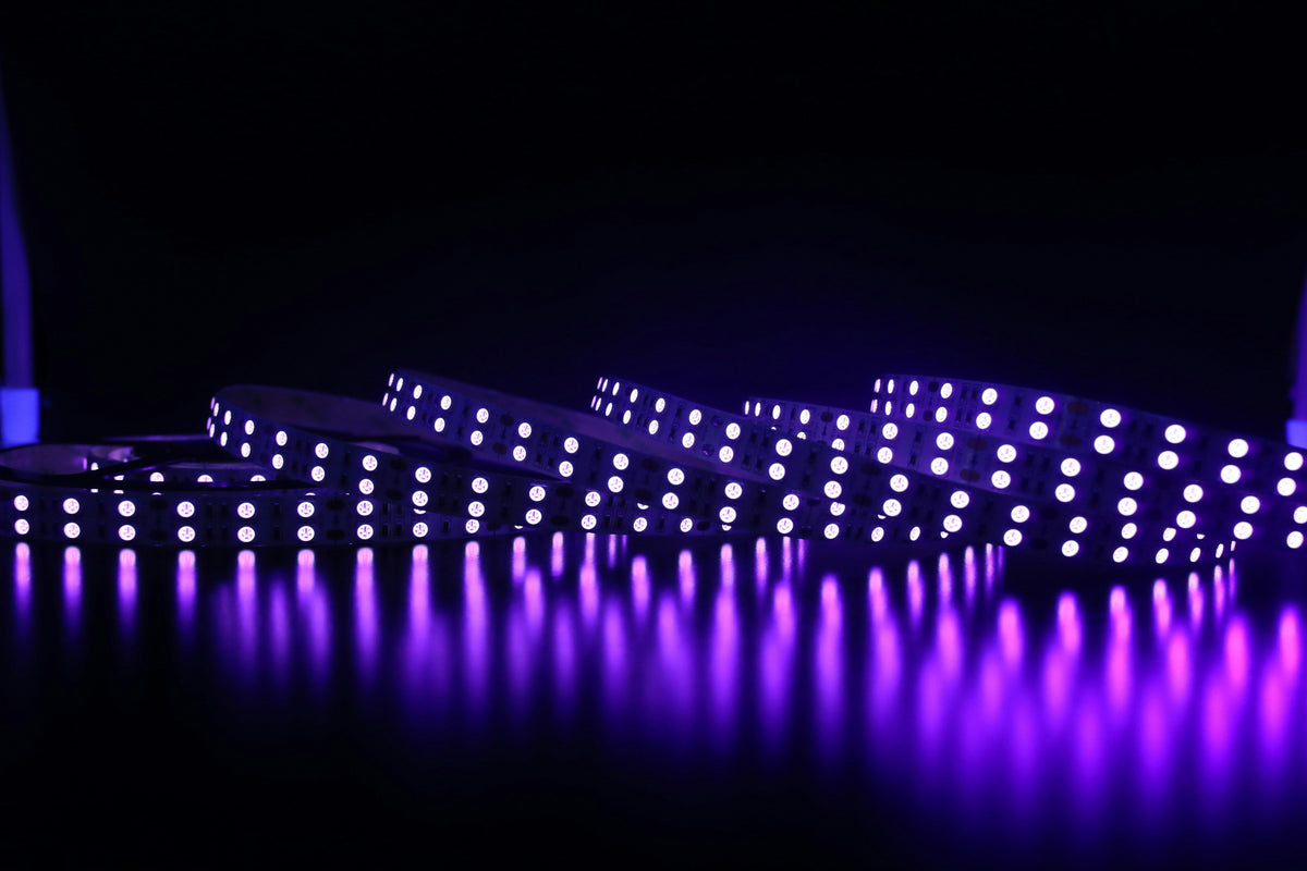 RGB LED Streifen App-Steuerung Wohnzimmer Ambiente – EliteNation
